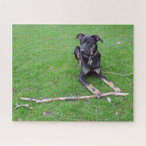 Cute Adorable Grass Dog Black Mutt Lab Shepherd Jigsaw Puzzle