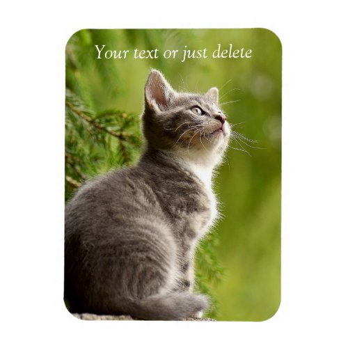 Cute adorable kitten custom magnet