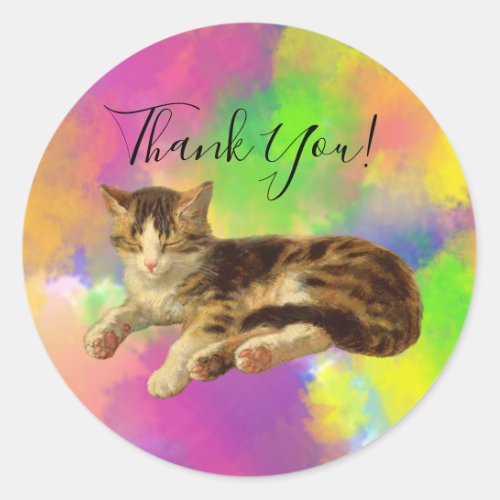 Cute Adorable Kitty Cat Thank You Abstract Rainbow Classic Round Sticker