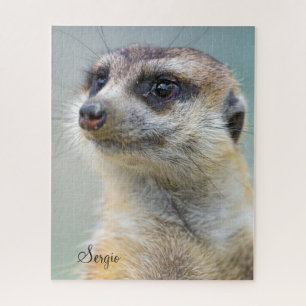 Cute Adorable Meerkat Puzzles
