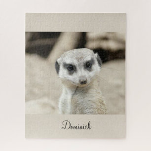 Cute Adorable Meerkat Puzzles