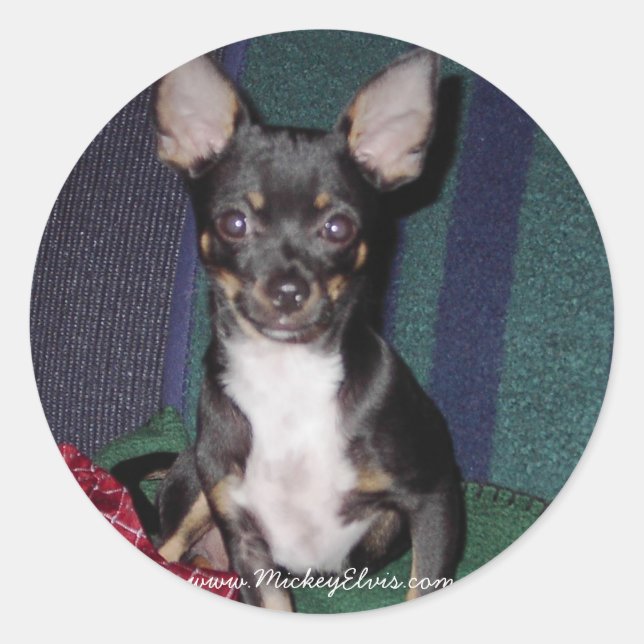 Cute & Adorable MickeyElvis Classic Round Sticker (Front)