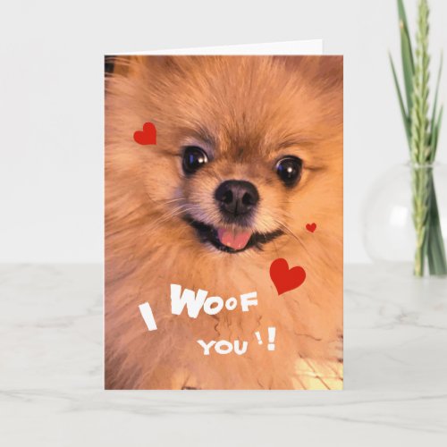 Cute Adorable Pet Pomeranian Sweetheart Valentine Holiday Card