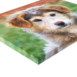 Cute Adorable Puppy Dog Photo Canvas Print | Zazzle