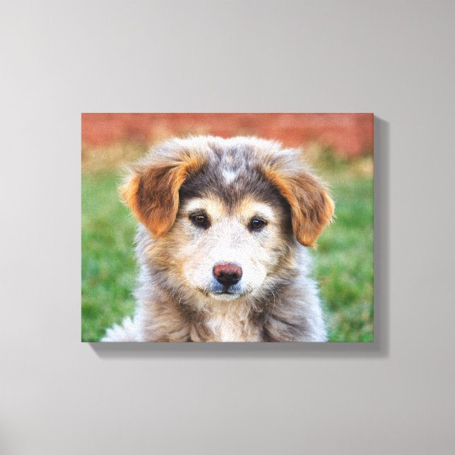 Cute Adorable Puppy Dog Photo Canvas Print (Front)