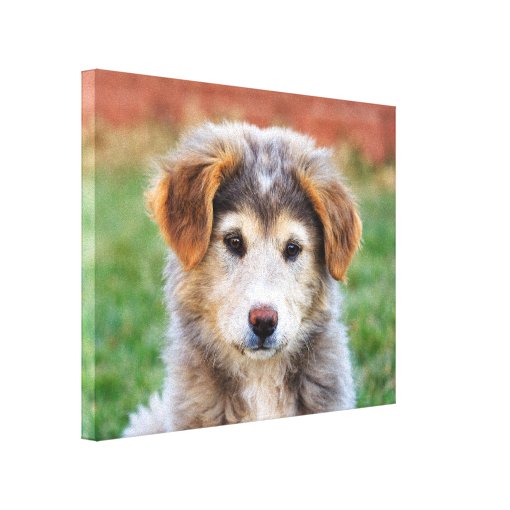 Cute Adorable Puppy Dog Photo Canvas Print | Zazzle