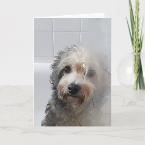 Cute Adorable West Highland White Terrier In Bath Card