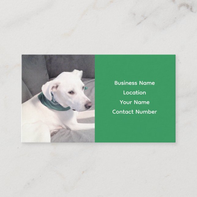 Cute Adorable White Puppy Dog Wearing Green Scarf  Business Card (Front)