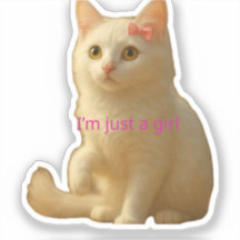 Cute Aesthetic Cat Sticker for Laptop and Girls