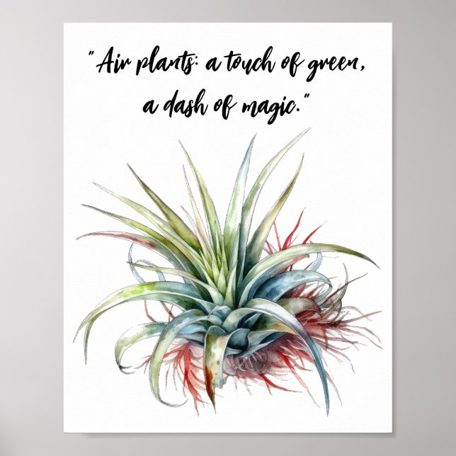 Cute Air Plant Quote Wall Art Poster (Front)