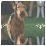 Cute Airedale Terrier Fabric