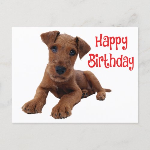 Cute Airedale Terrier Puppy Dog Birthday Postcard