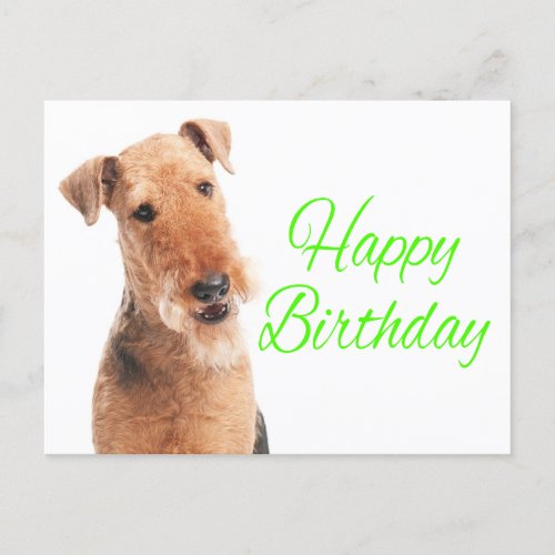 Cute Airedale Terrier Puppy Dog Happy Birthday Postcard