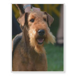 Cute Airedale Terrier Temporary Tattoos