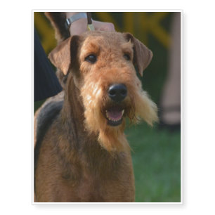 Cute Airedale Terrier Temporary Tattoos