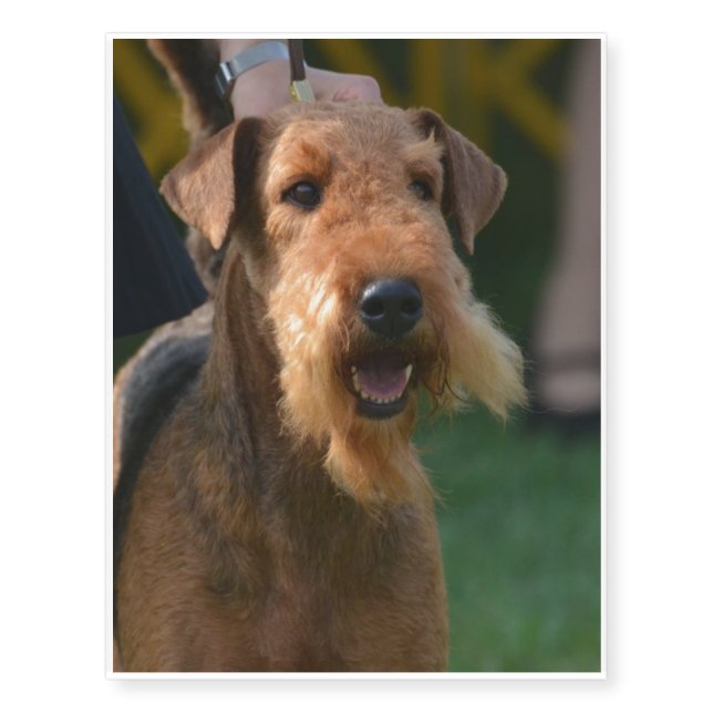 Cute Airedale Terrier Temporary Tattoos (Front)