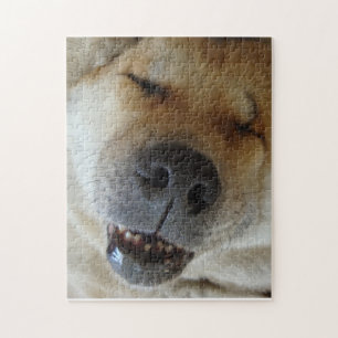 cute akita asleep funny smiling dog picture jigsaw puzzle