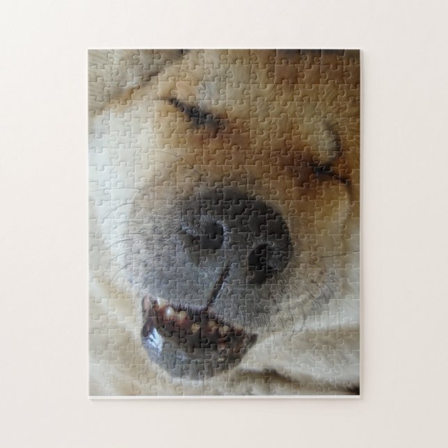 cute akita asleep funny smiling dog picture jigsaw puzzle (Vertical)