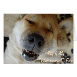 cute akita asleep smiling dogs funny love slogan cards