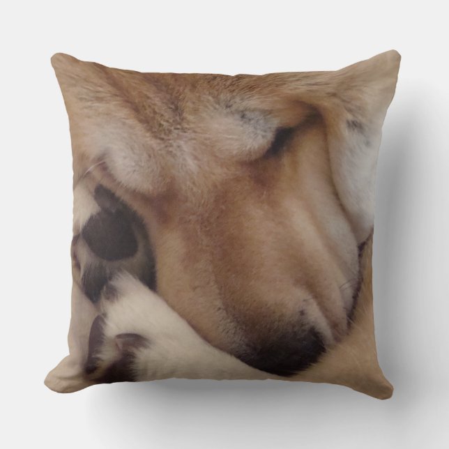 cute akita dog asleep cuddling paws original photo throw pillow (Front)