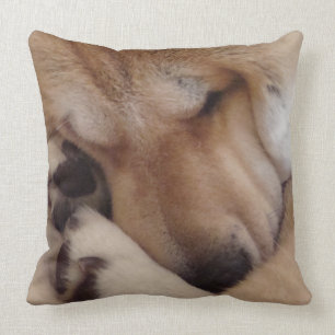 cute akita dog asleep cuddling paws original photo throw pillow