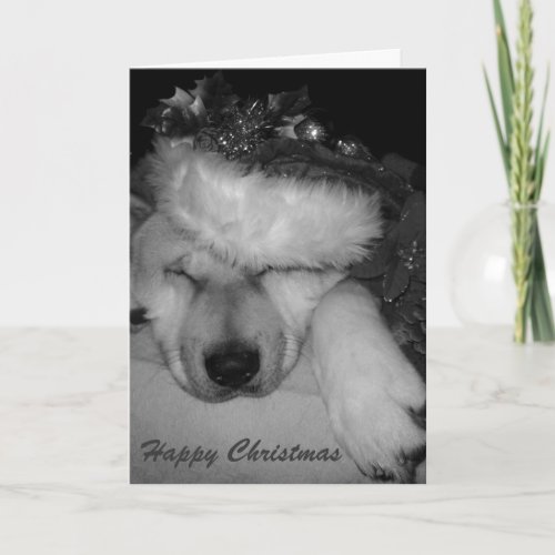 Cute akita dog asleep santa hat tinsel christmas holiday card