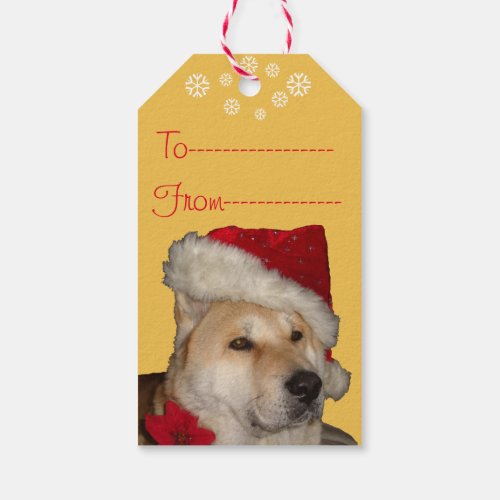 Cute akita dog dressed for christmas gift tags