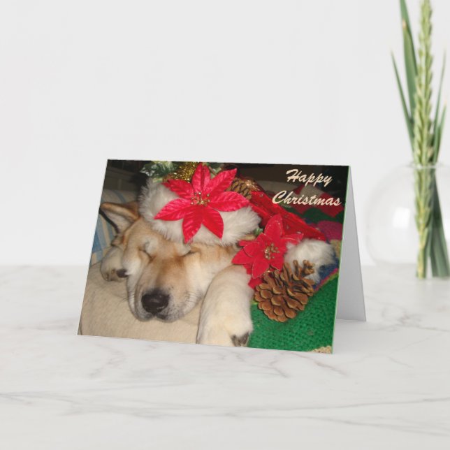 Cute akita dog santa hat cone decoration christmas holiday card (Front)