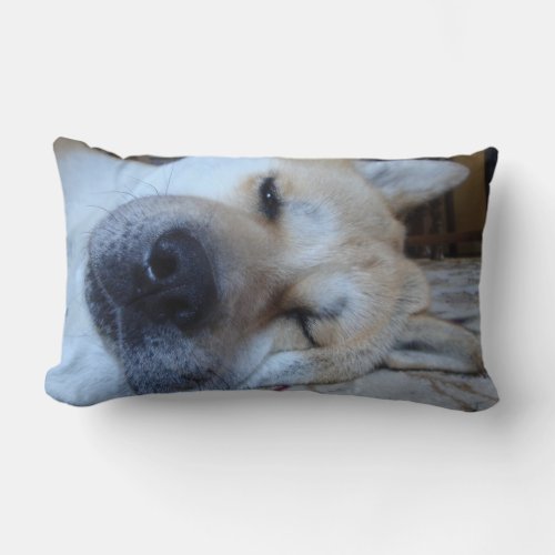 Cute akita dog sleeping with funny expression lumbar pillow