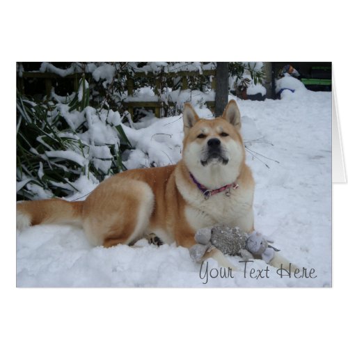 Cute akita dog snow scene with gray mouse toy