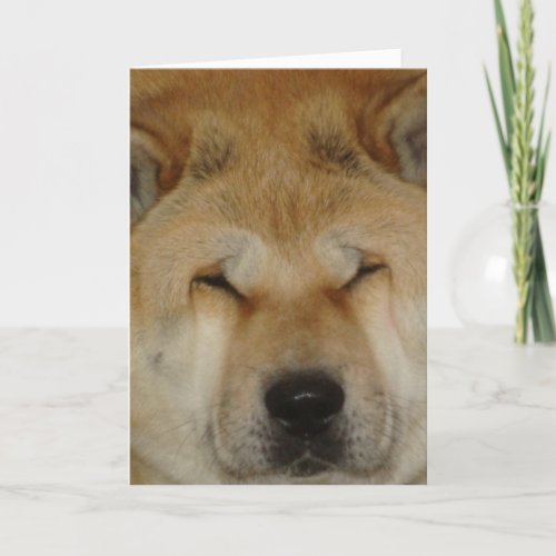 cute akita funny big loving face photograph card