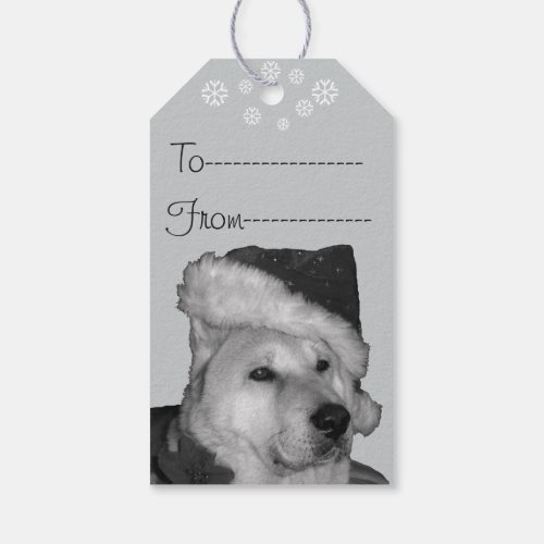 Cute akita in red santa hat christmas dog gift tags