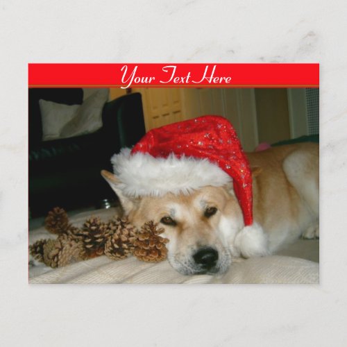 Cute akita in red santa hat with christmas cones holiday postcard