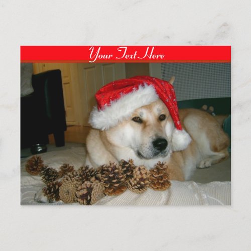 Cute akita in red santa hat with christmas cones holiday postcard