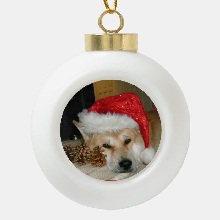 Cute akita in red santa hat with christmas cones ornament