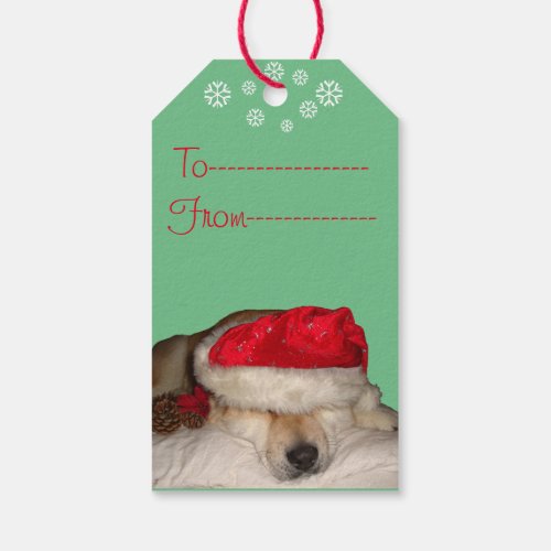 Cute akita in santa hat sleeping christmas dog gift tags