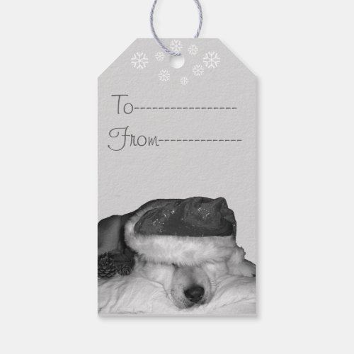 Cute akita in santa hat sleeping christmas dog gift tags