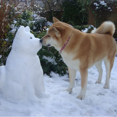 Cute Akita Kissing Snowman Akita Dog Jigsaw Puzzle