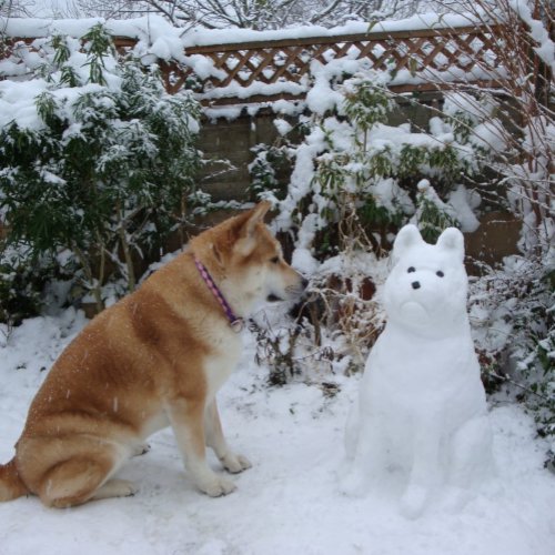 cute akita sitting with snowman snow dog metal ornament