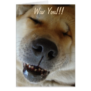 cute akita smiling funny dog love cards