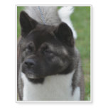 Cute Akita Temporary Tattoos