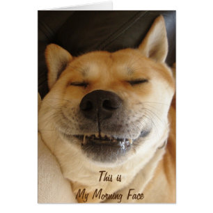 cute akita with funny smile morning face slogan cards