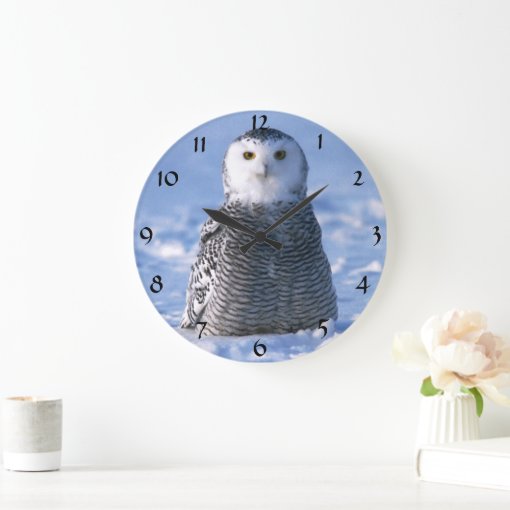 Cute Alaska Arctic Snowy Owl Winter Photo Designed Large Clock | Zazzle