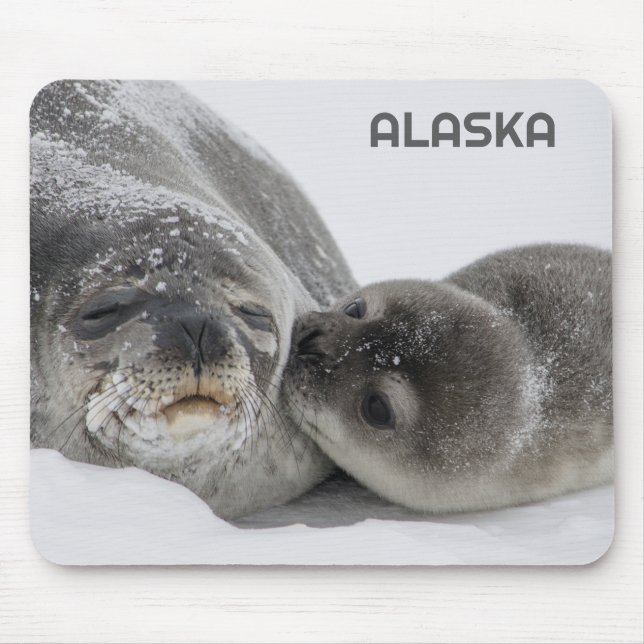 Cute Alaska Baby Seal and Mom Mouse Pad (Front)