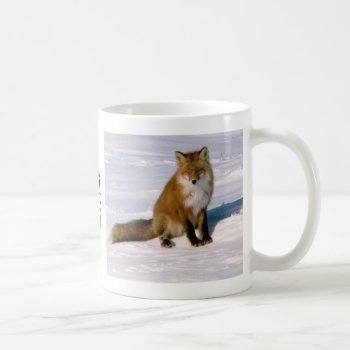 Cute Alaska Red Fox Morning Latte Coffee Mug by ScrdBlueCollectibles at Zazzle
