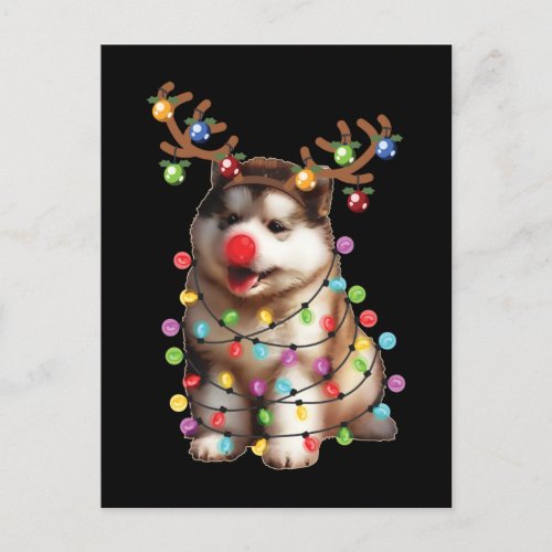 Cute Alaskan Malamute Dog Christmas Holiday Gifts Postcard