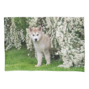 Cute Alaskan Malamute Dog Puppy in Flowers Photo Pillow Case