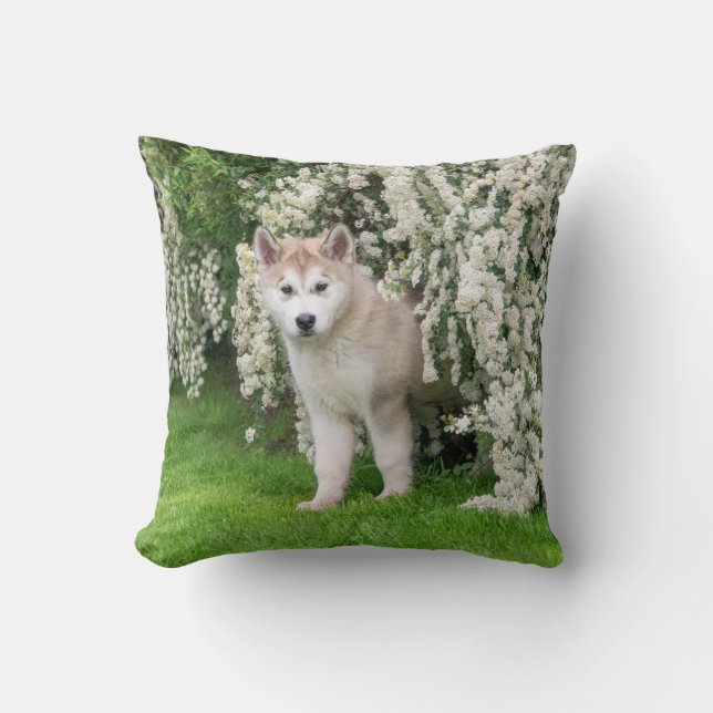 Cute Alaskan Malamute Dog Puppy in Flowers Photo  Throw Pillow (Front)