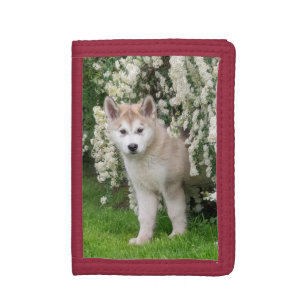 Cute Alaskan Malamute Dog Puppy in Flowers Photo - Tri-fold Wallet