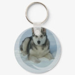 Cute Alaskan Malamute Keychain